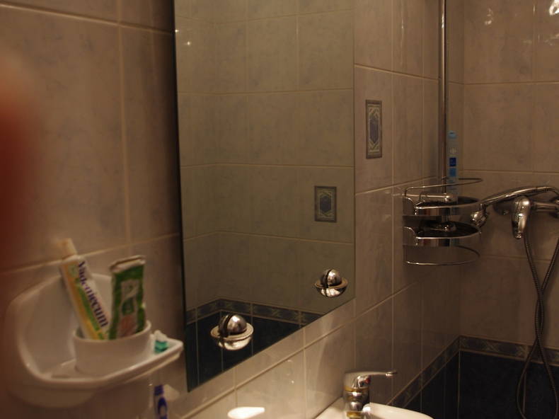 Gastfamilie Grenoble 84278-1