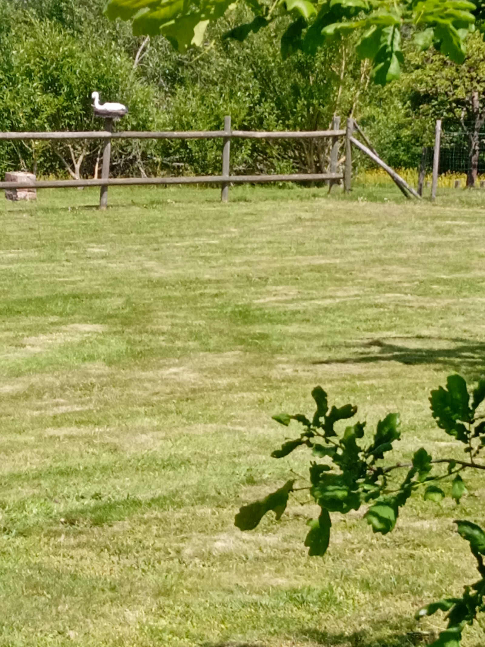 Hospedagem Em Casa De Família Laigné-en-Belin 266821