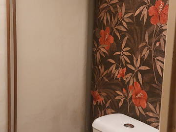 Chambre chez l'habitant à louer à Vichy - photo 6 : salle de bain-6