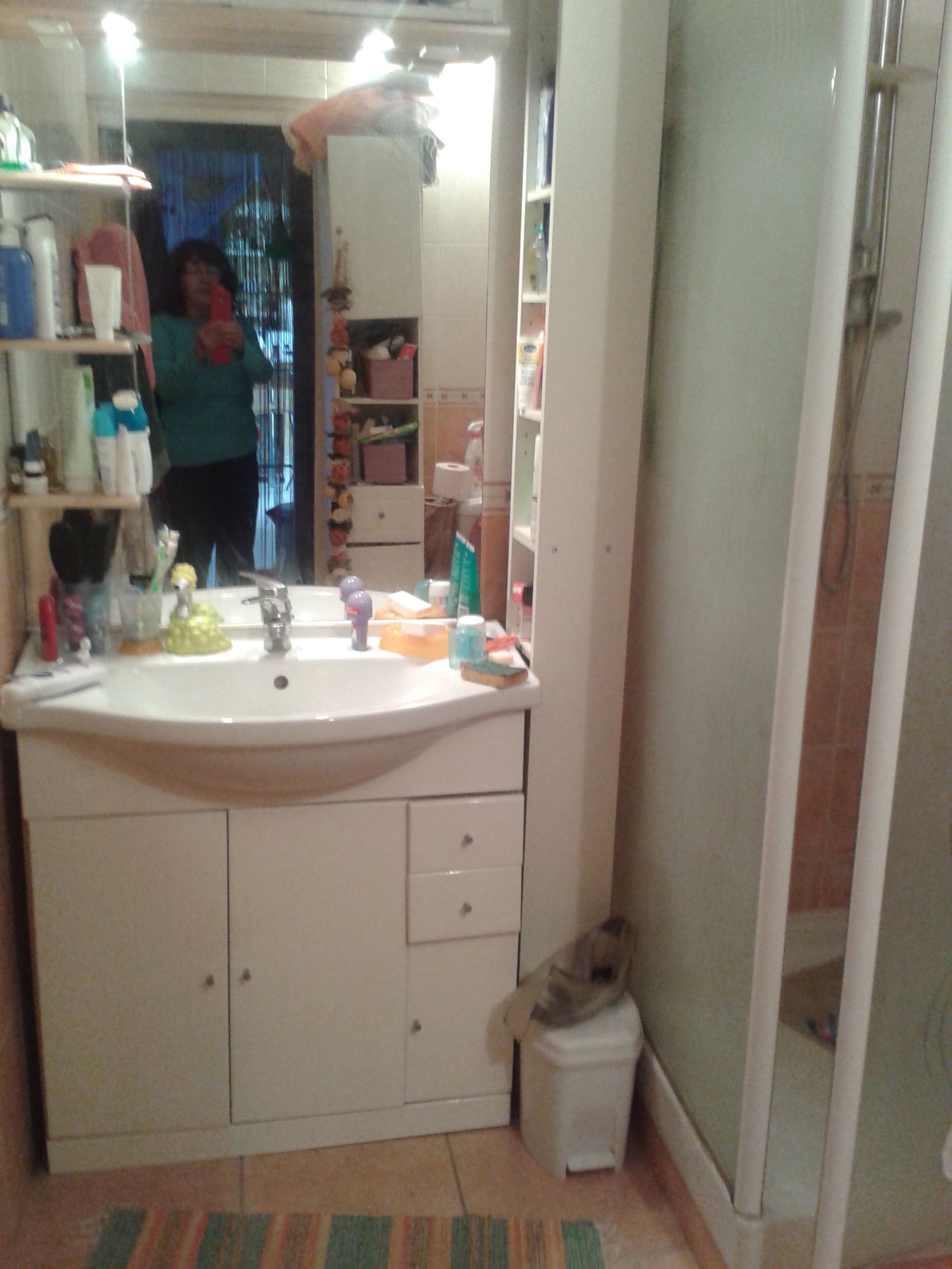 Chambre Chez L'habitant Saint-Fons 53032