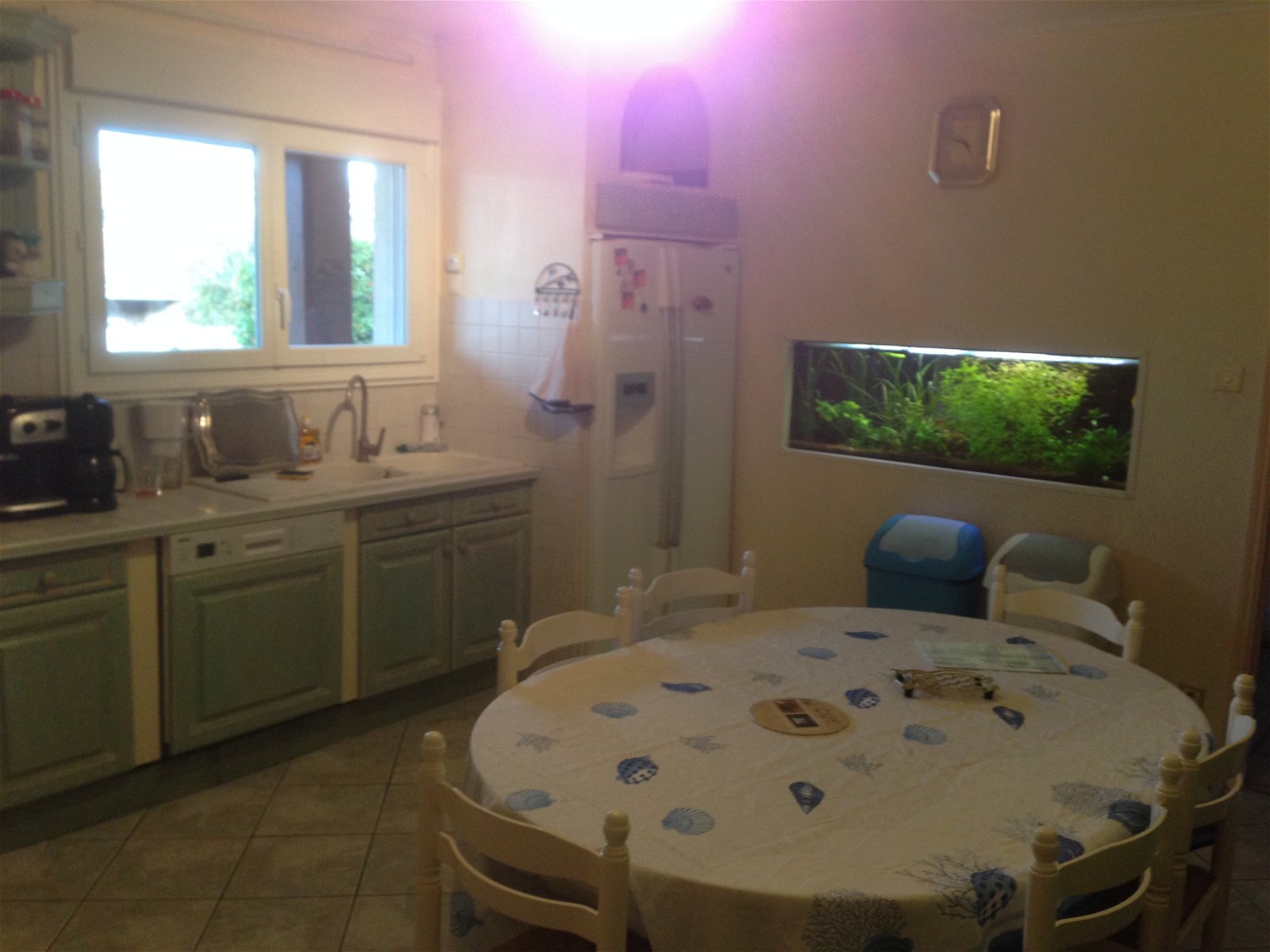Homestay Carcassonne 98014