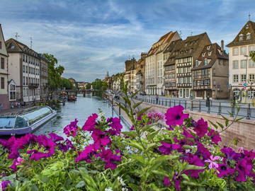Chambre chez l'habitant à louer à Strasbourg - photo 22 : autre pièce-22