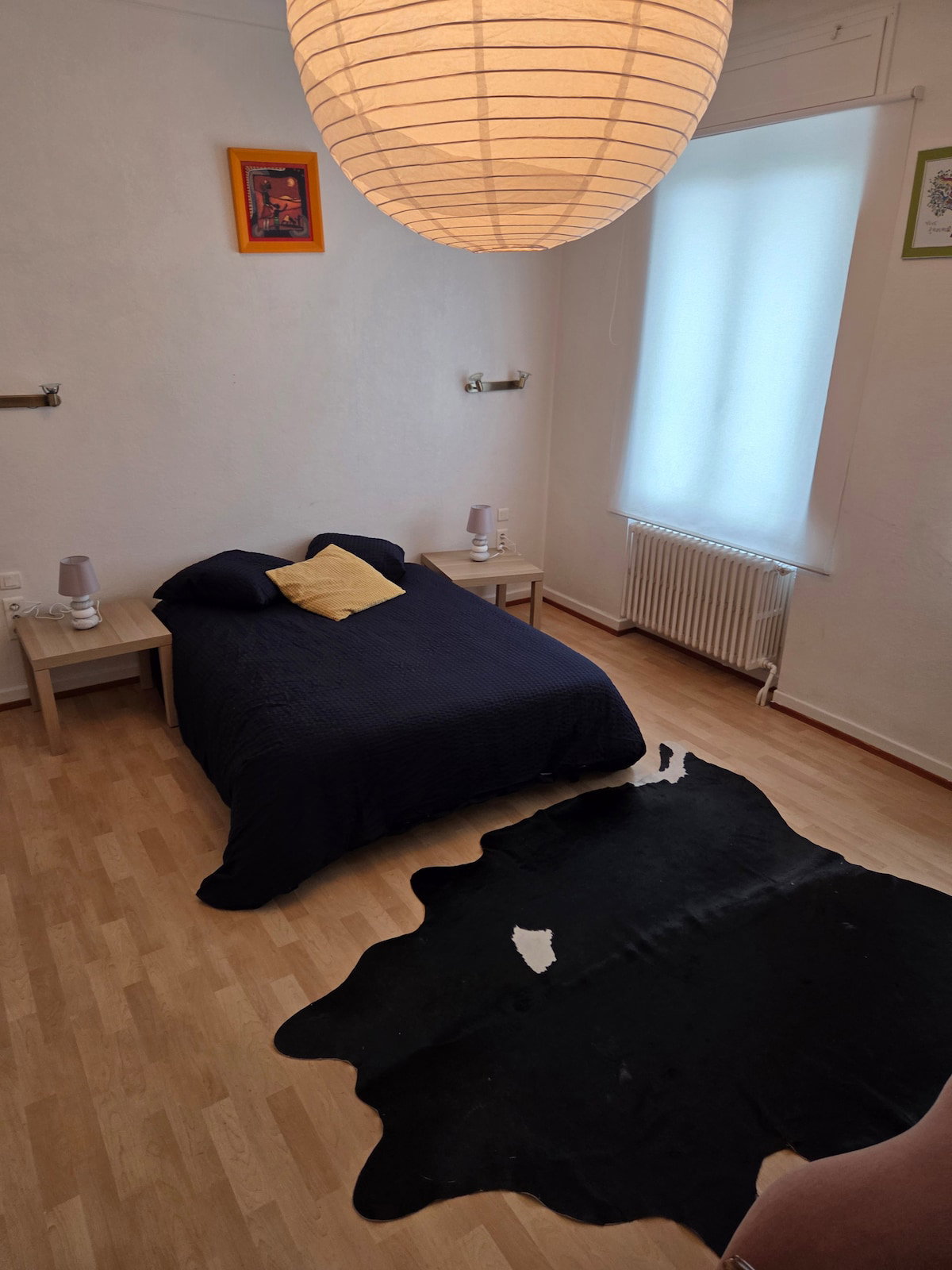 Chambre Chez L'habitant Strasbourg 673006
