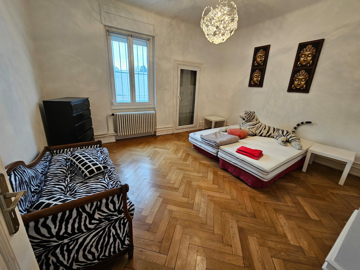Chambre Chez L'habitant Strasbourg 673006