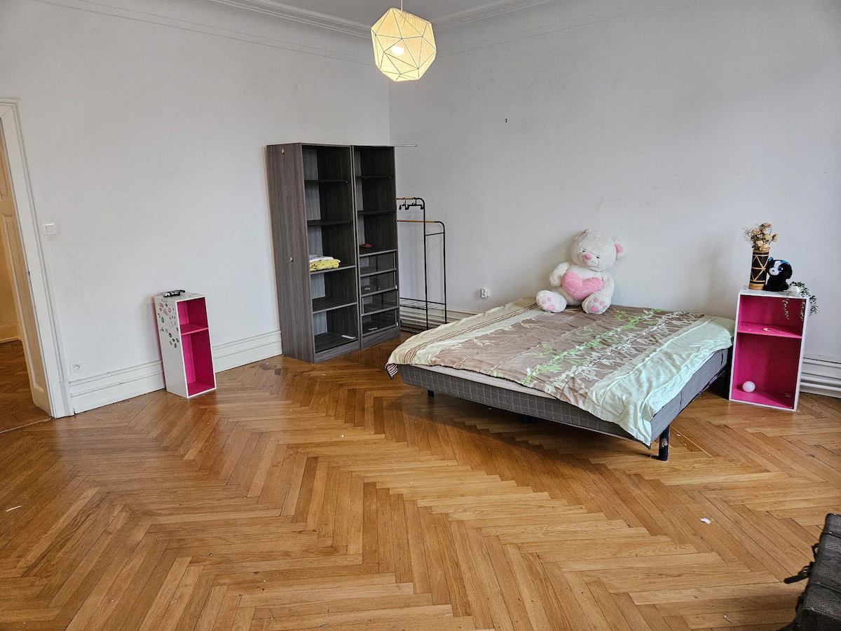 Chambre Chez L'habitant Strasbourg 673006