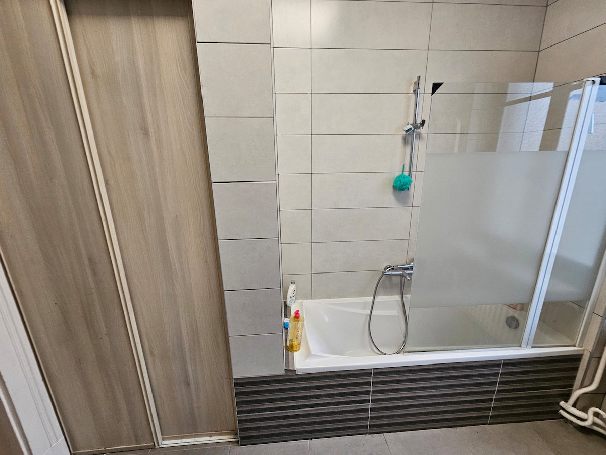 Chambre Chez L'habitant Strasbourg 673006