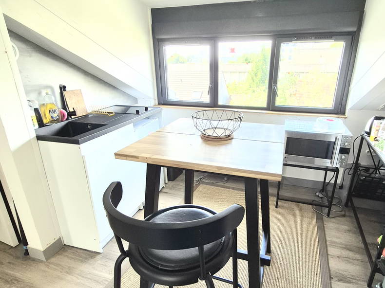Chambre Chez L'habitant Clamart 667596-4