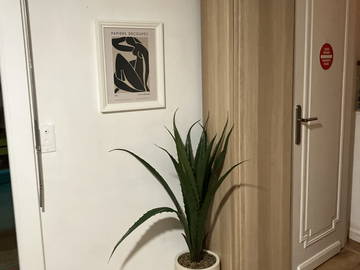 Chambre chez l'habitant à louer à Le Cannet - photo 5 : chambre-5