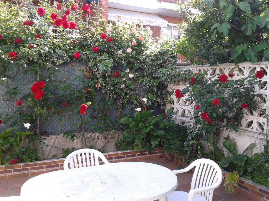 Colocation Villaviciosa de Odón 125798