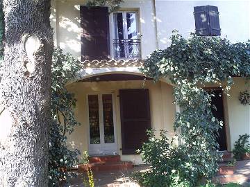 Chambre À Louer Jacou 38845