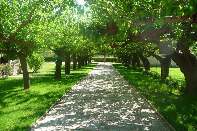 Chambres D'hôtes Les Plans 22985