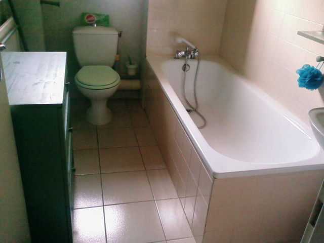 Chambre Chez L'habitant Blagnac 10153