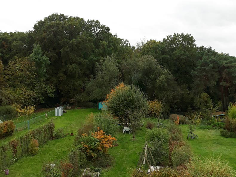 Homestay Ottignies-Louvain-la-Neuve 243012-5