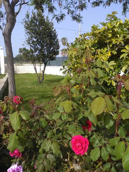 Chambre Chez L'habitant Carrozziere 200631