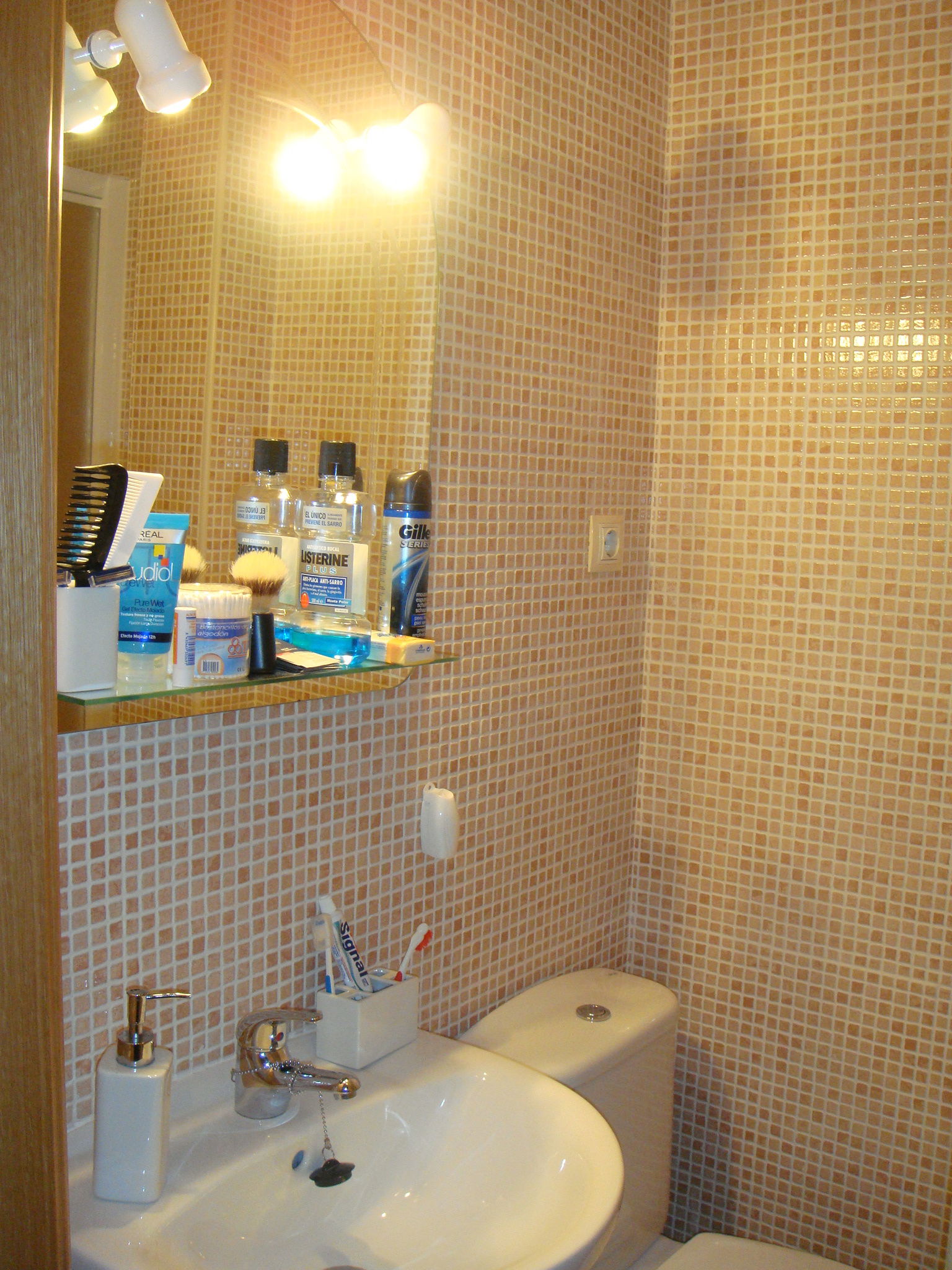 Logement Entier Burgohondo 162791