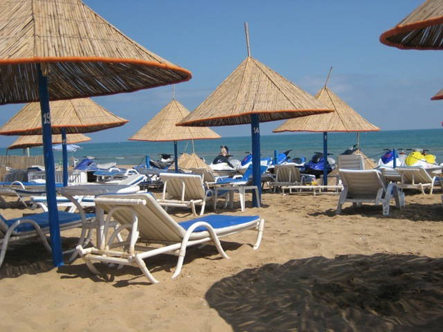 Toda La Casa Nador 44529-2