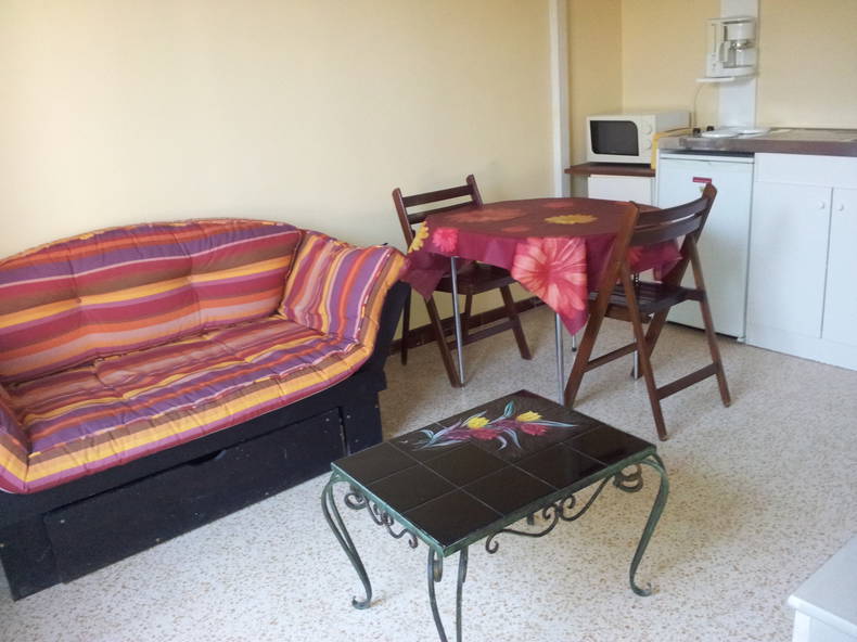 Kolokasie Avignon 72883-2