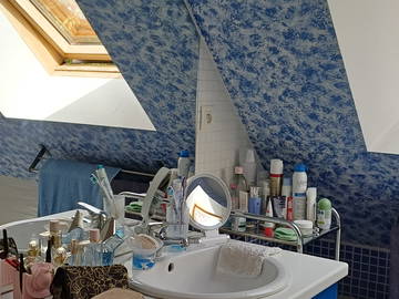Chambre chez l'habitant à louer à Fougères - photo 3 : salle de bain-3