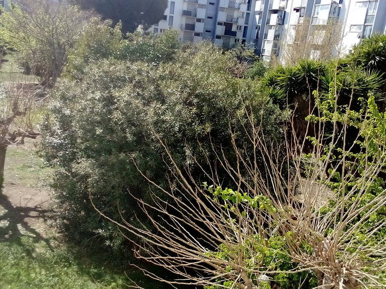 Logement Entier Perpignan 258115-4