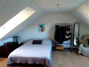 Rental Large Bright Room On The Floor