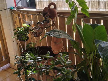 Quedarse en casa à louer à Sainte-Marie-5