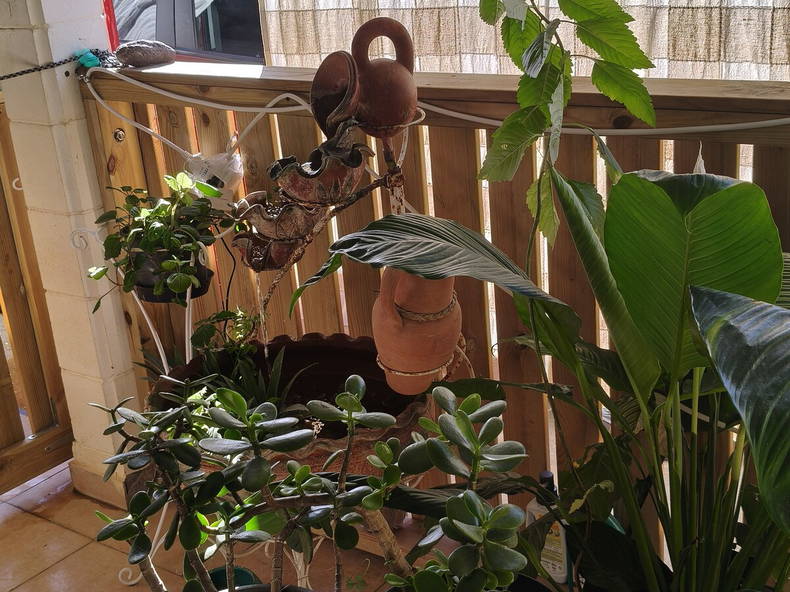 Chambre Chez L'habitant Sainte-Marie 665834-5