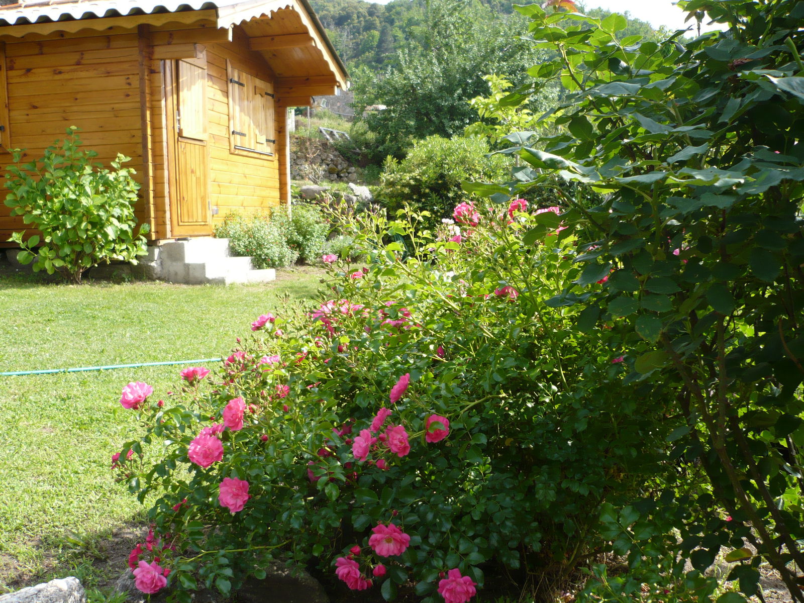 Itsenäinen Studio Zicavo 64031