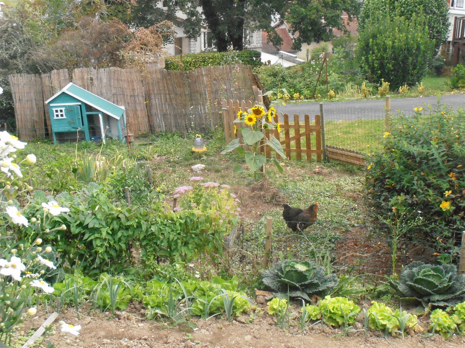 Estúdio Independente Lacrouzette 164942