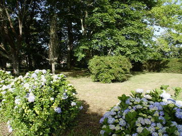 Chambre À Louer Saubrigues 256752