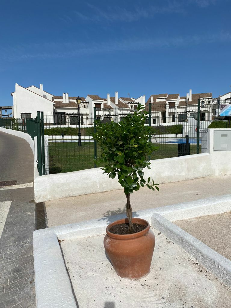 Logement Entier undefined 101889