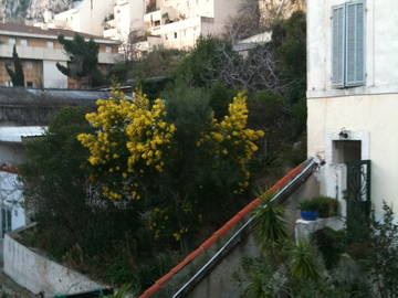 Chambre À Louer Marseille 99020