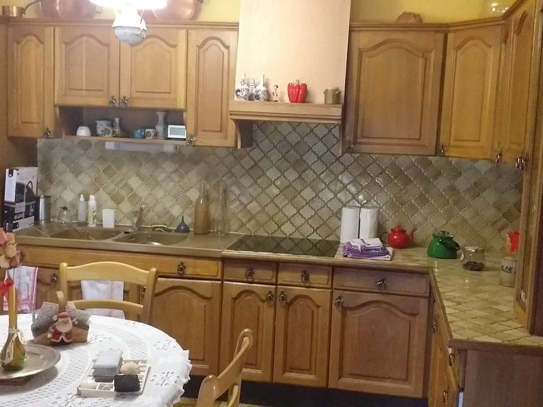 Ganzes Haus Saint-Privat-des-Vieux 97956-1