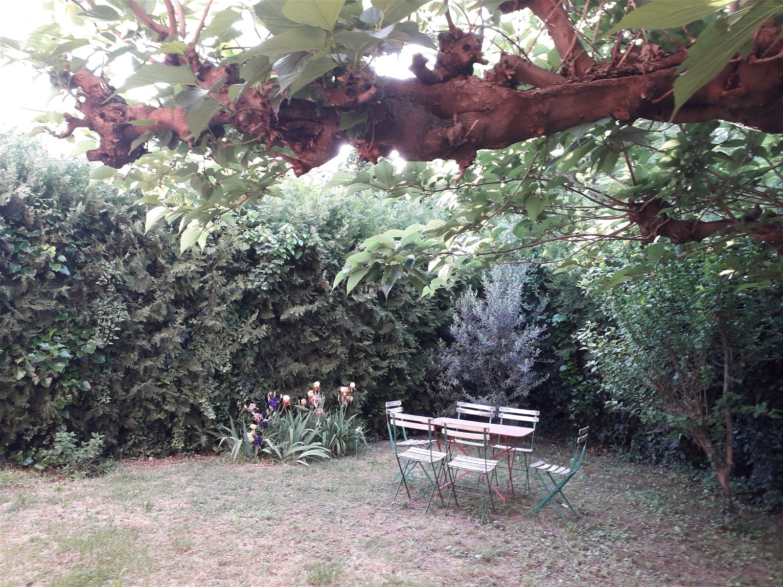 Chambre Chez L'habitant Montpellier 166015