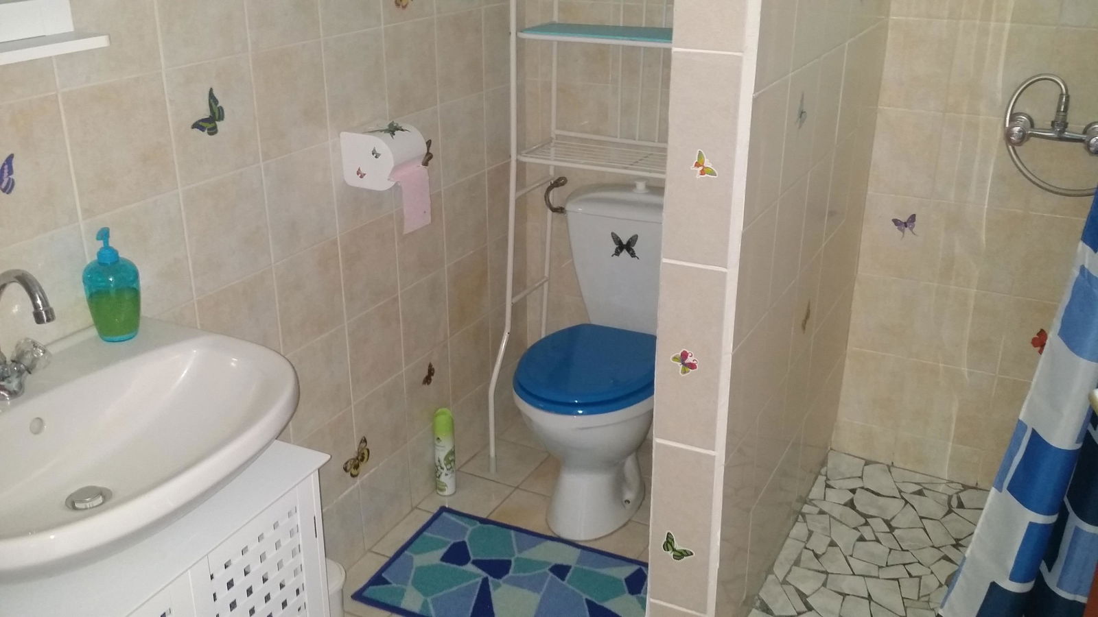 Hospedagem Em Casa De Família Bouillante 184537