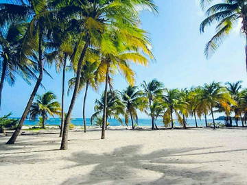 Chambre Chez L'habitant Bouillante 184537-8