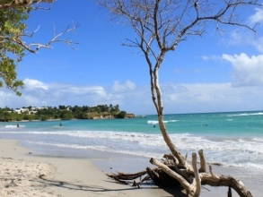 Logement Entier Le Gosier 124592-12