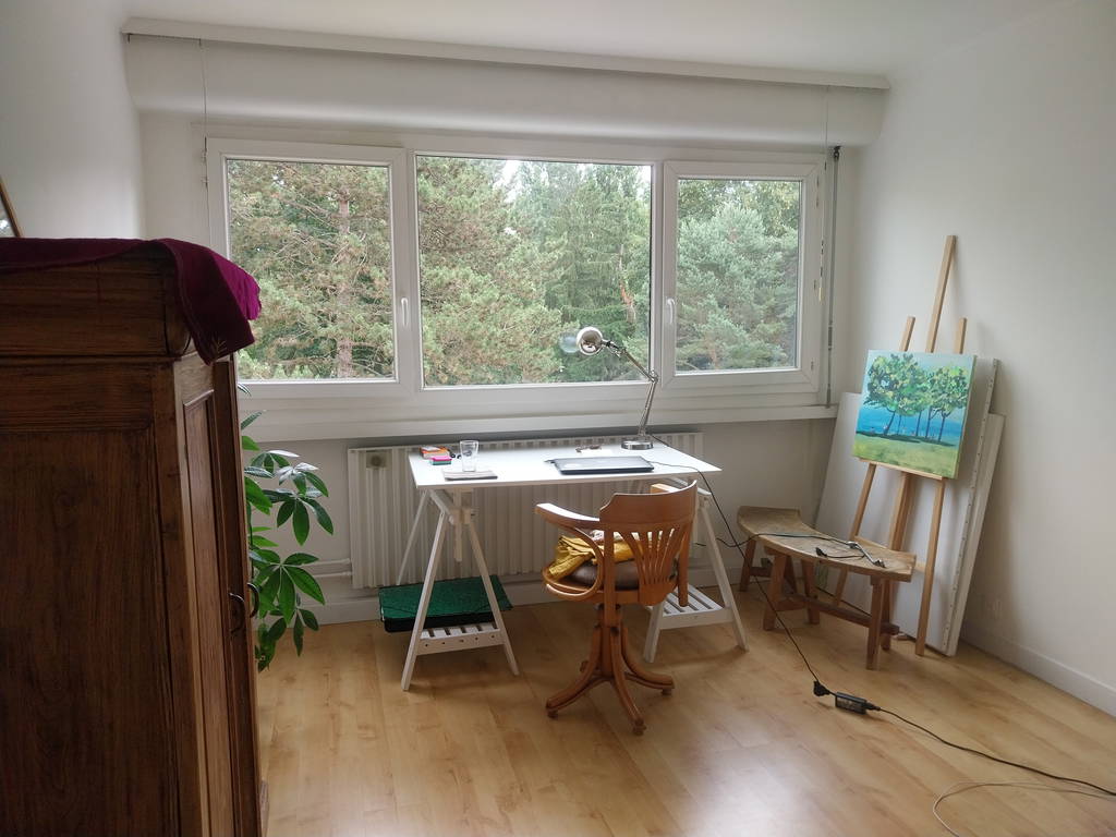 Chambre Chez L'habitant Ferney-Voltaire 675688-1