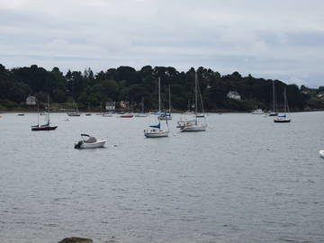 Chambre Chez L'habitant Baden 249346-5