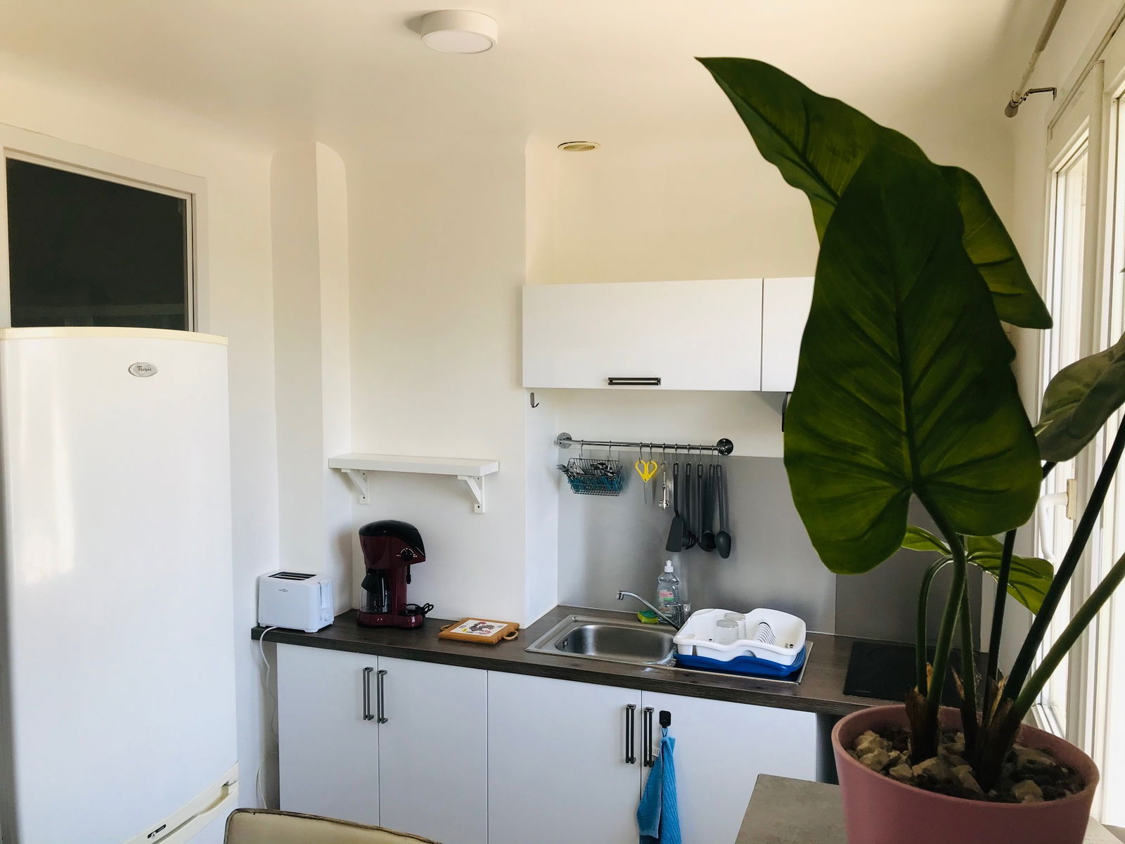 Oberoende Studio Montpellier 249597