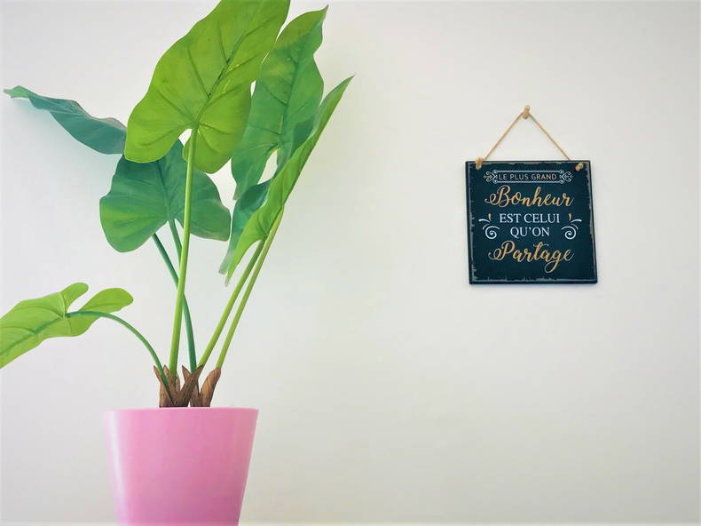 Logement Entier Montpellier 249597-5