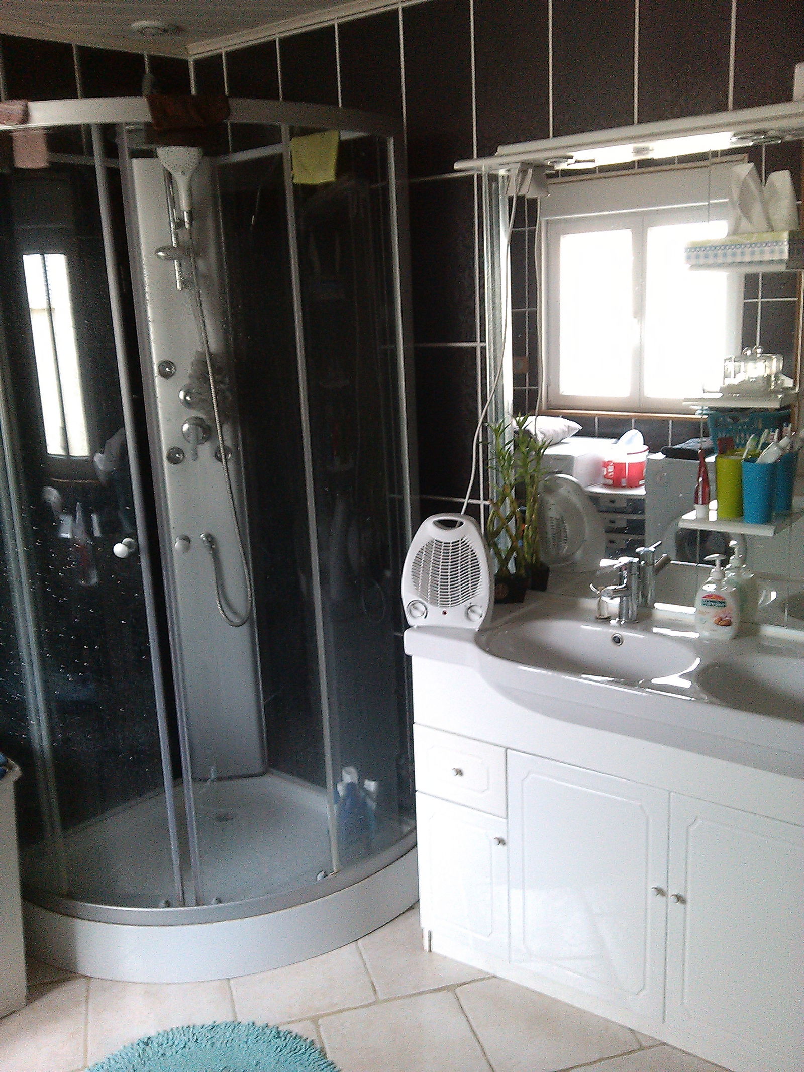 Colocatie Tortequesne 145342