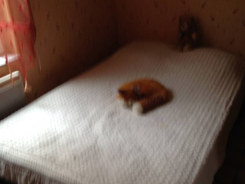 Ganzes Haus Le Mont-Dore 120914-3