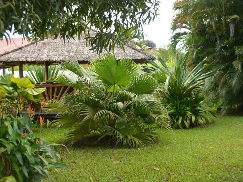 Gehele Woning Remire-Montjoly 134971-4