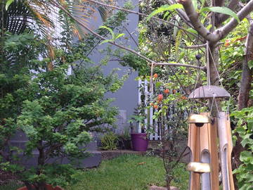 Logement Entier Saint-Paul 137301-7