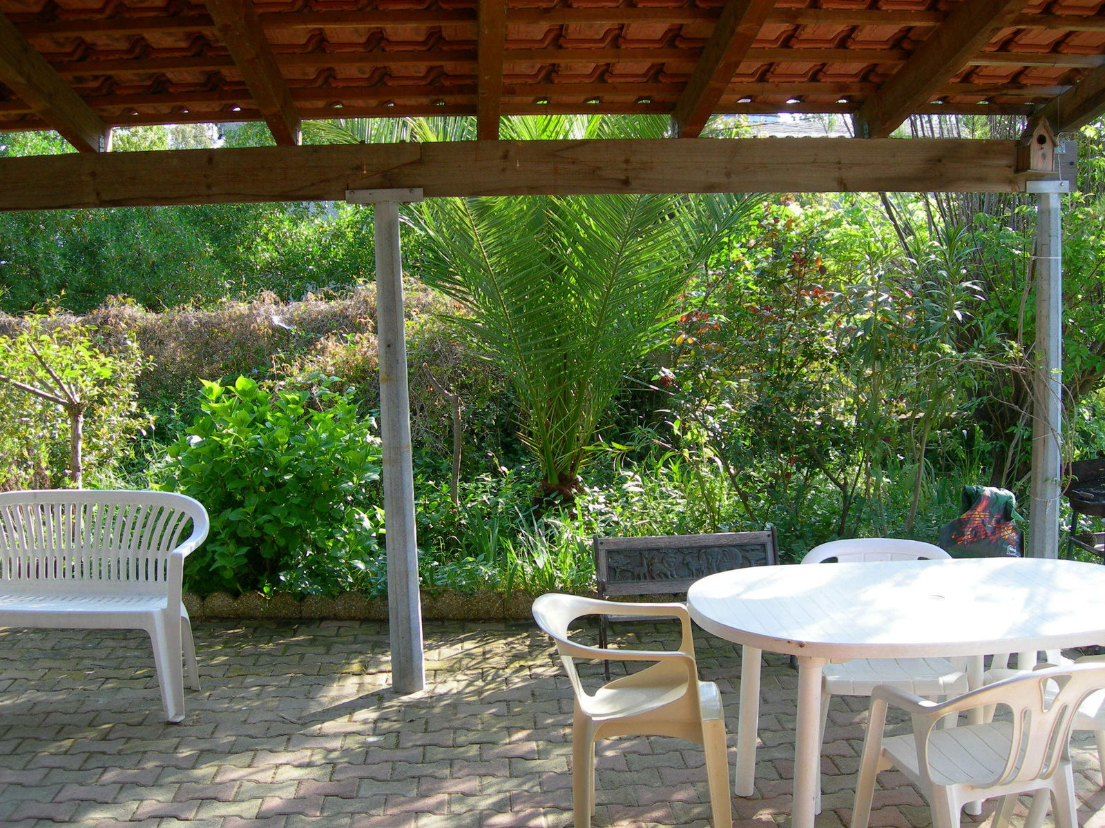 Itsenäinen Studio Calvi 135387