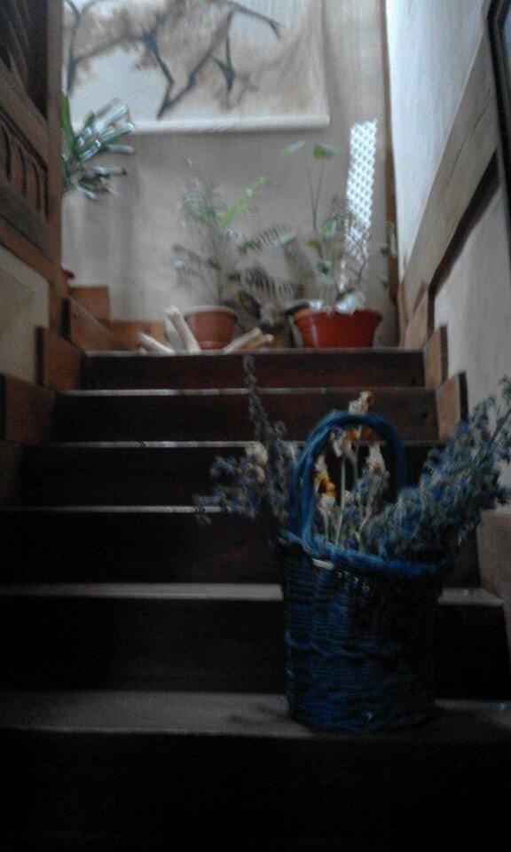 Logement Entier Martincano 138080