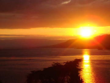 Logement Entier Montreux 414339-13