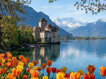 Logement Entier Montreux 414339-28