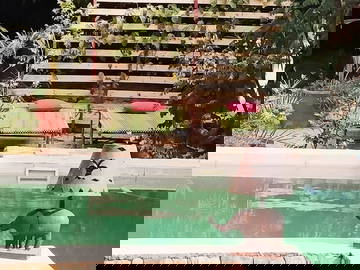 Chambre D'hôte Popenguine 139838-7