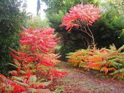 Quedarse En Casa Ramonville-Saint-Agne 424685-4